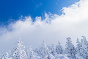 Towada Hachimantai National Park in winter