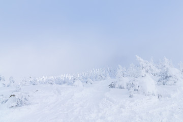 Towada Hachimantai National Park in winter