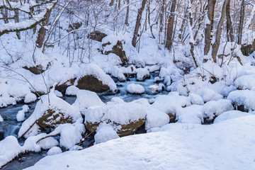 Towada Hachimantai National Park in winter