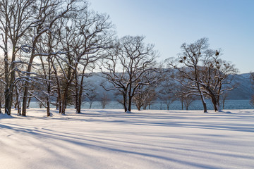 Obraz premium Towada Hachimantai National Park in winter