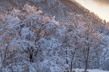 Towada Hachimantai National Park in winter