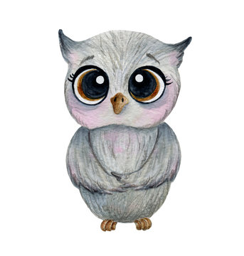  cute gray owl with big eyes watercolor