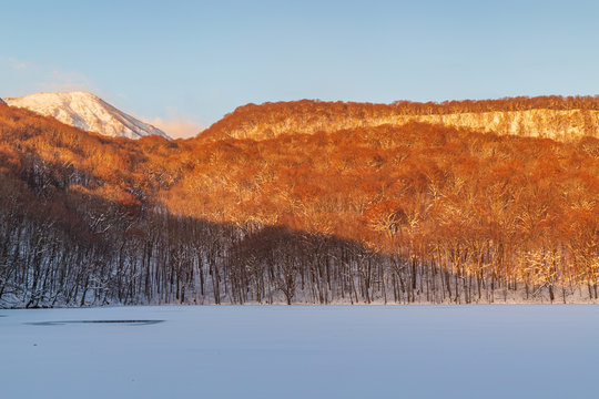 Towada Hachimantai National Park In Winter