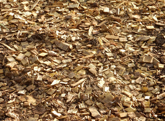 abstract background of yellow small slivers