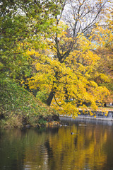 Paisaje oto&ntilde;o