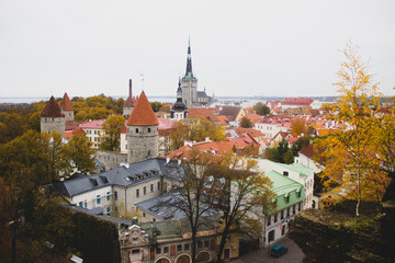 Tallin