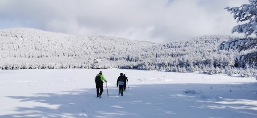 group of people in winter