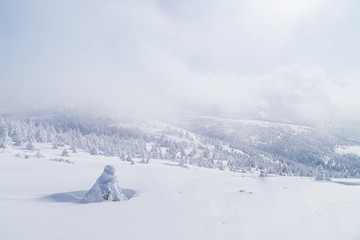Towada Hachimantai National Park in winter