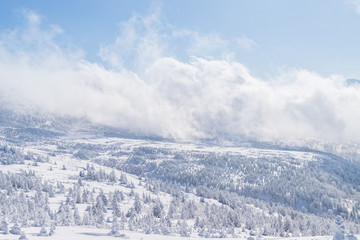 Towada Hachimantai National Park in winter