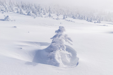 Towada Hachimantai National Park in winter
