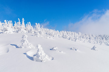 Towada Hachimantai National Park in winter