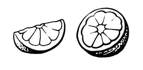 Grapefruit. Hand drawing. Lemon, Orange, Mandarin, Citrus, Lime. Set: whole and cut half. Monochrome black and white drawing. Felt-tip pen and paper. Isolated on a white background.