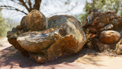 Alluvial conglomerate, formed by rounded pebbles and ground cementation. Ancient rock at the Barberton Makhonjwa Geotrail