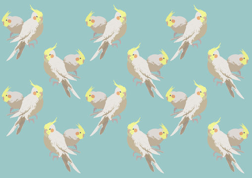 オカメインコ Images Browse 403 Stock Photos Vectors And Video Adobe Stock