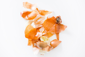 Fototapeta na wymiar Beautiful composition of fresh onion on white background 