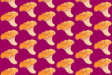 Seamless pattern with mushroom chanterelle painted with watercolor. Isolated on magenta background. T