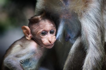 There is nothing as powerful as mother's love