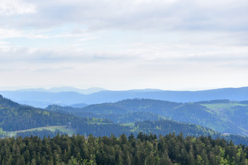Picturesque landscape with hills and blue air, the atmosphere in the European forest of Schwarzwald,, Germany. Clean Air Ecology Concept