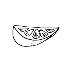 Vector hand drawn lime set. Whole lime, sliced pieces, half, leaf and seed sketch. Vintage retro style drawing for tea, juice, cosmetics. Tropical summer fruit isolated on a white background.