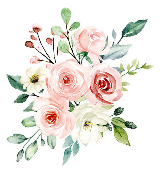Blush flowers watercolor, floral clip art. Pink bouquet roses perfectly for printing design on wedding invitation, greeting card, wall art and other. Hand painting. Isolated on white background. 