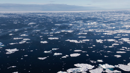aerial view of island in sea