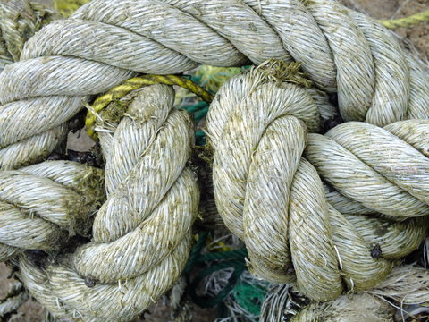  macro image of a gray rope knotted with green algae