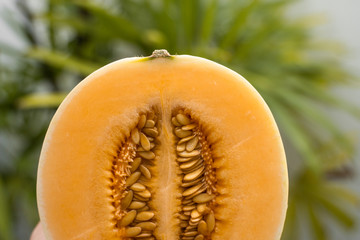 Fresh sweet orange melon with a palm tree on background. Useful and vitamin-rich food. Vegeterian.