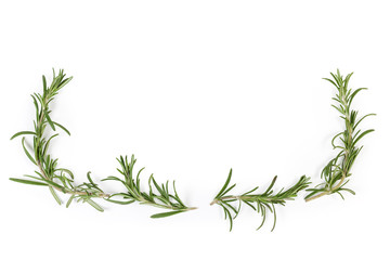 Rosemary twigs located at the bottom and the sides, background