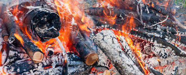 Background of the burning firewood close-up
