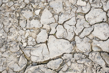 Dry ground as a texture or background.