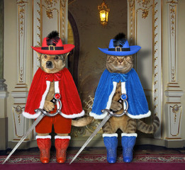 The dog and the cat dressed in musketeer costume with swords is standing in the old castle.