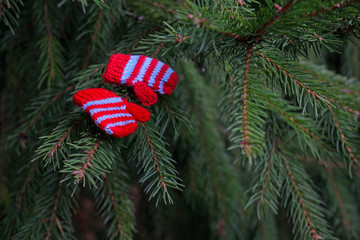 wool gloves fir tree background 