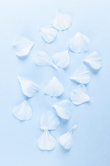 Blue petals on a trandy blue background. Stylish minimalistic image, flat lay, top view. The concept of Valentine's Day, Women's Day, romance, wedding. Place for text. Monochrome image.