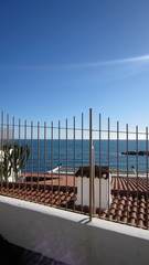 Metal fence of the house by the sea with a view of the roof, cactus and the sea on a sunny cloudless day