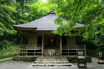 In a quiet forest in Japan, a solemn shrine is under the shade for visitors to pass by