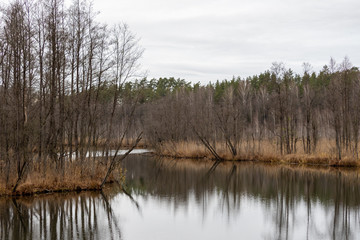 Rospuda rzeka dziewicza 