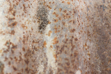 Old rusty zinc sheet with rough and spotted surface with selective focus