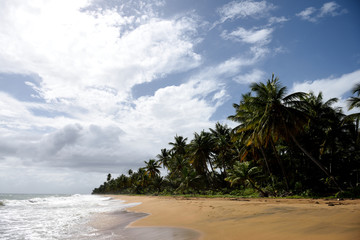 Sandy tropical beach and coconut trees, Playa Punta Tuna, Puerto Rico