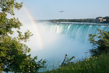 Niagara falls horseshoe close from above with rainbow and trees in front , Canada summer