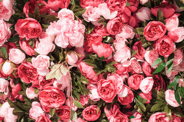 A hedge of roses for the background. Floral wall decor of pink rose inflorescences
