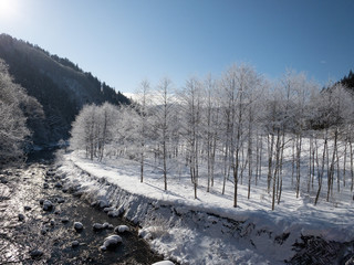 霧氷　冬の自然風景