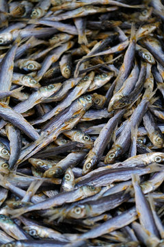 anchovies - dried small fish