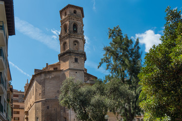 Fototapeta na wymiar spain palma de majorca church tower