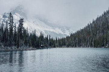 Fototapety  Wooden lodge in pine forest with heavy snow and mountain on Lake O'hara at Yoho national park