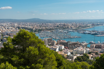 Obraz premium spain palma de majorca harbor high angle view
