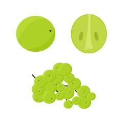 Grapes cartoon icon. Vector illustration. 