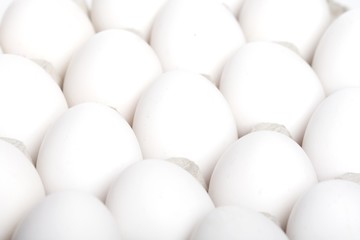 Close up of eggs - studio shot