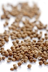 Closeup of died mustard seeds