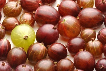 Close up of gooseberrys on white background