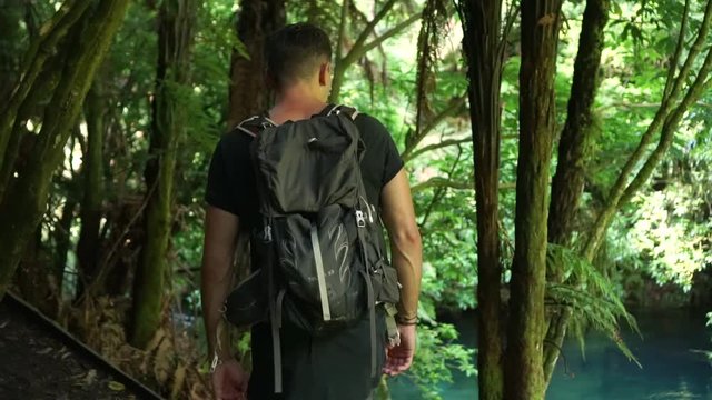 Young caucasian man from behind walking through native lush forrest along Putaruru Blue Spring Creek in New Zealand